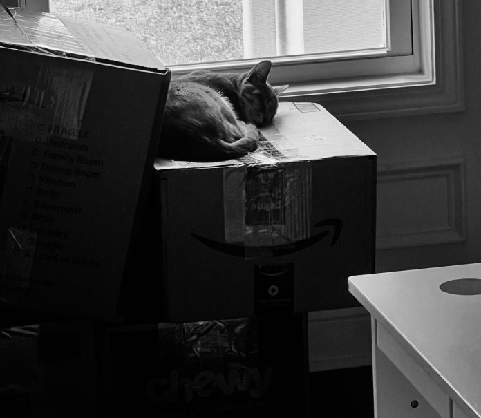 PCS CAT When PCS Life Disconnects You from Yourself