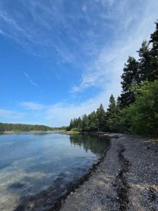 Shoreline with evergreen trees reflected in quiet waters in Acadia National Park