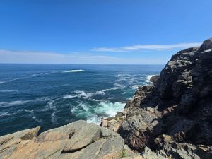 Rocky ocean cliffs in Acadia National Park